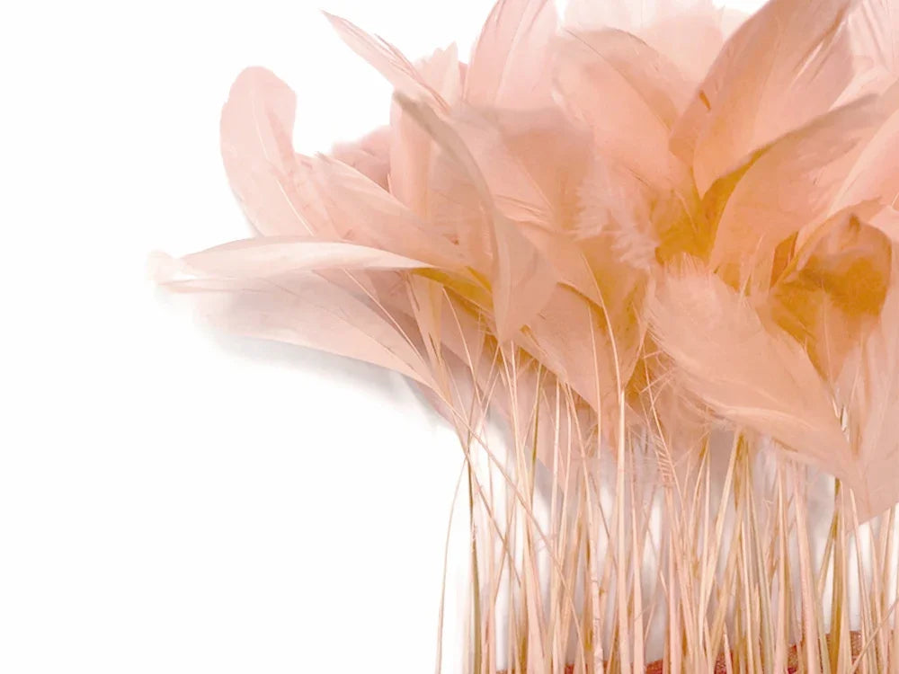 1 Yard - 10-12" Champagne Bleach and Dyed Coque Tails Long Feather Trim (Bulk)