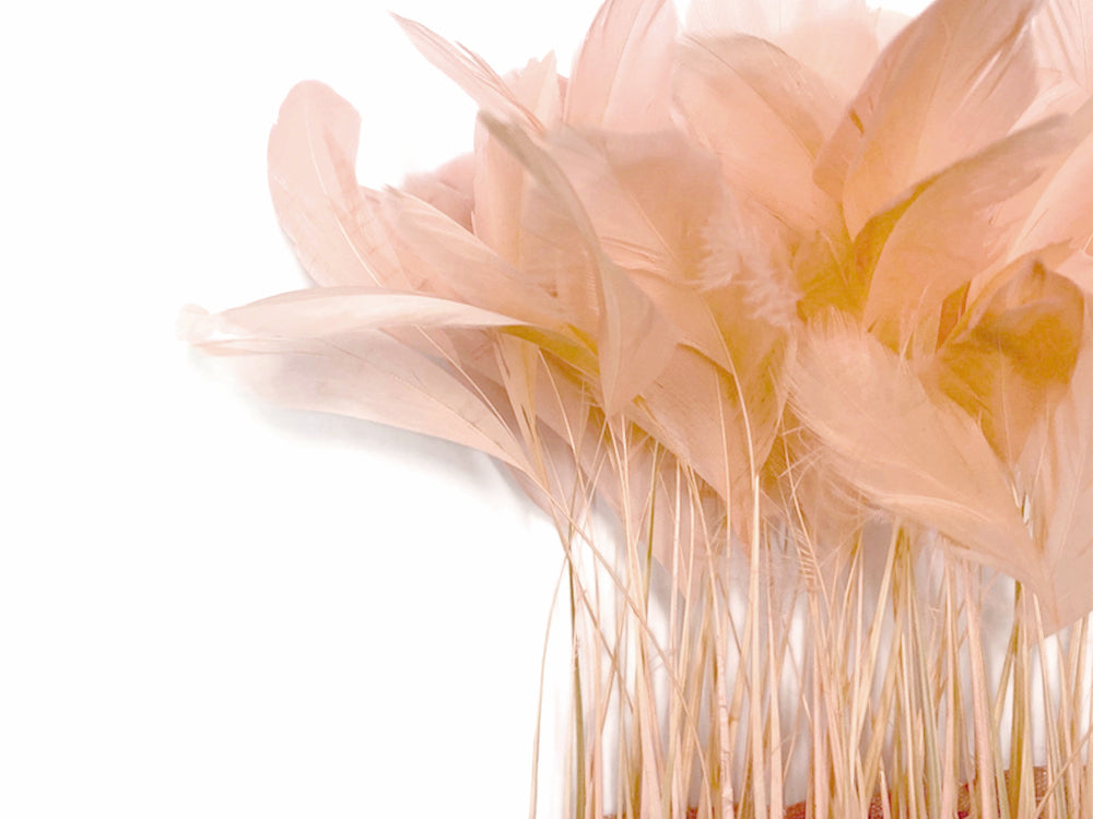 1 Yard - Champagne Stripped Coque Tail Feathers Wholesale Trim (Bulk)
