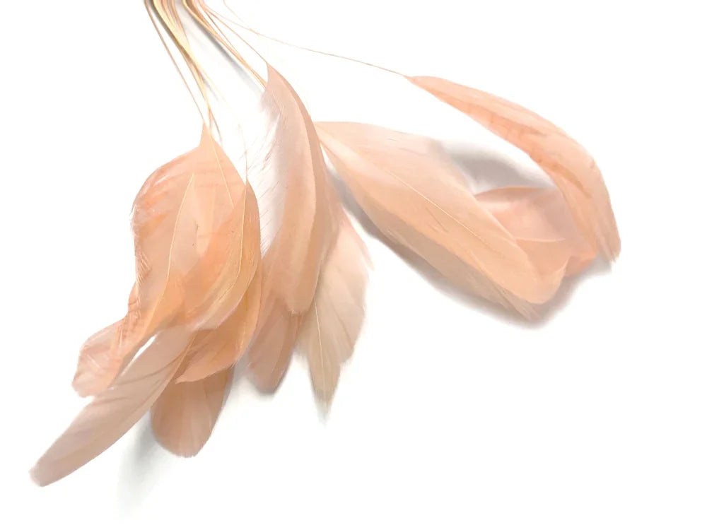 1 Yard - 10-12" Champagne Bleach and Dyed Coque Tails Long Feather Trim (Bulk)