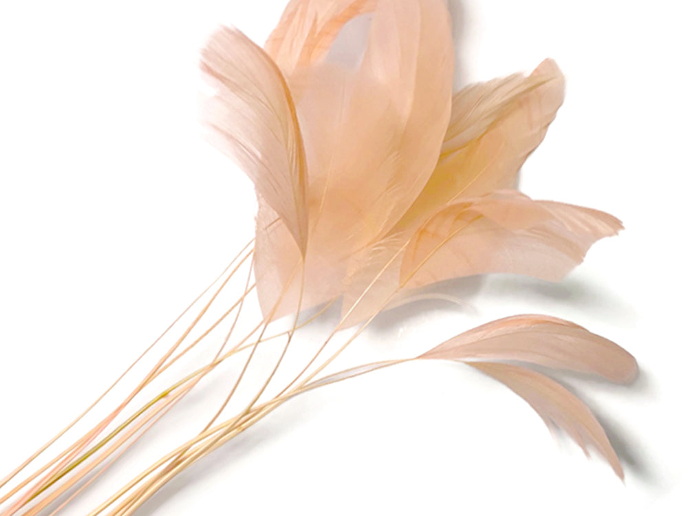 1 Yard - Champagne Stripped Coque Tail Feathers Wholesale Trim (Bulk)