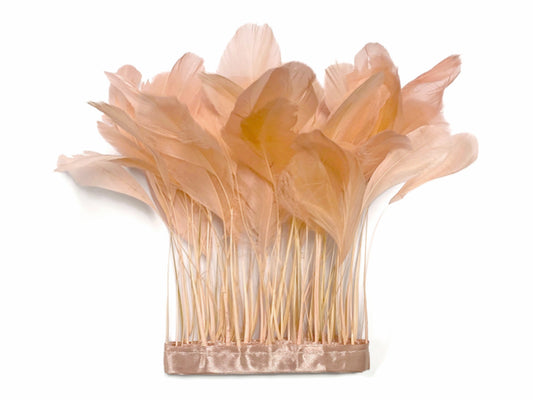 1 Yard - Champagne Stripped Coque Tail Feathers Wholesale Trim (Bulk)