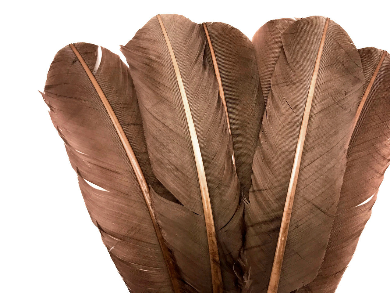 1 Lb. - Light Brown Turkey Tom Rounds Secondary Wing Quill Wholesale Feathers (Bulk)