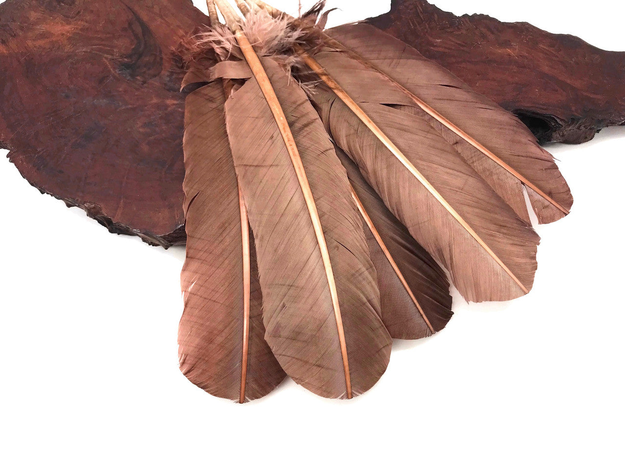 6 Pieces - Light Brown Turkey Rounds Secondary Wing Quill Feathers