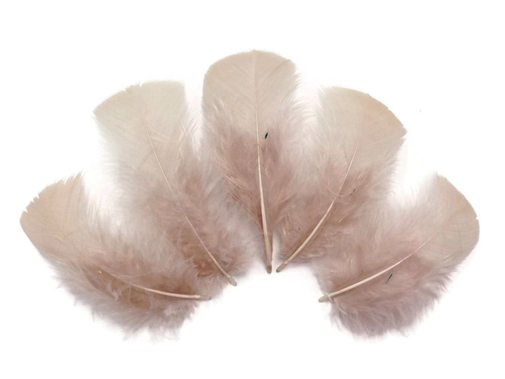 1 Pack - Nude Dyed Turkey T-Base triangle Body Plumage Feathers 0.50 Oz.