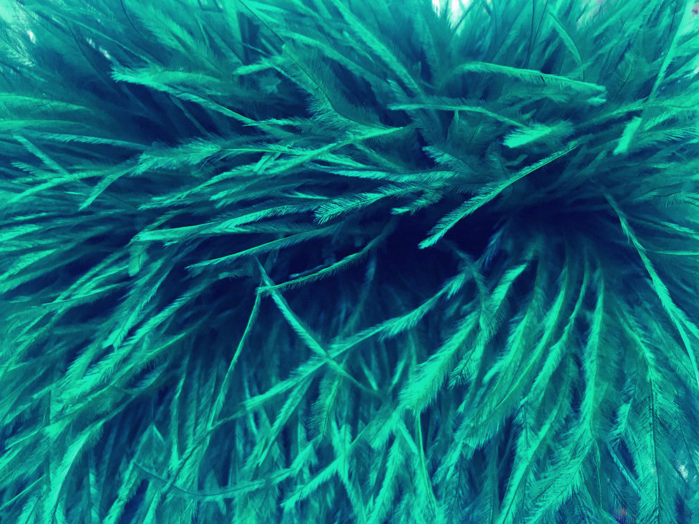 10 Yards - Ocean Green Ostrich Fringe Trim Wholesale Feather (Bulk)