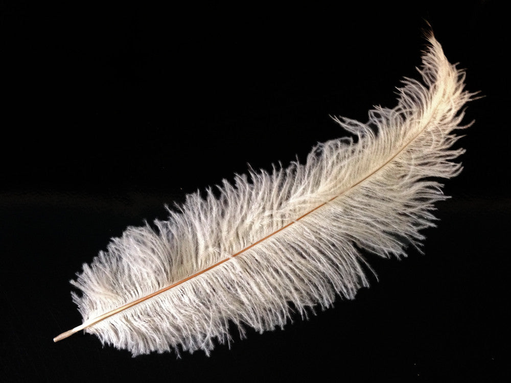 20 Pieces - Off White Mini Spads Ostrich Chick Body Feathers