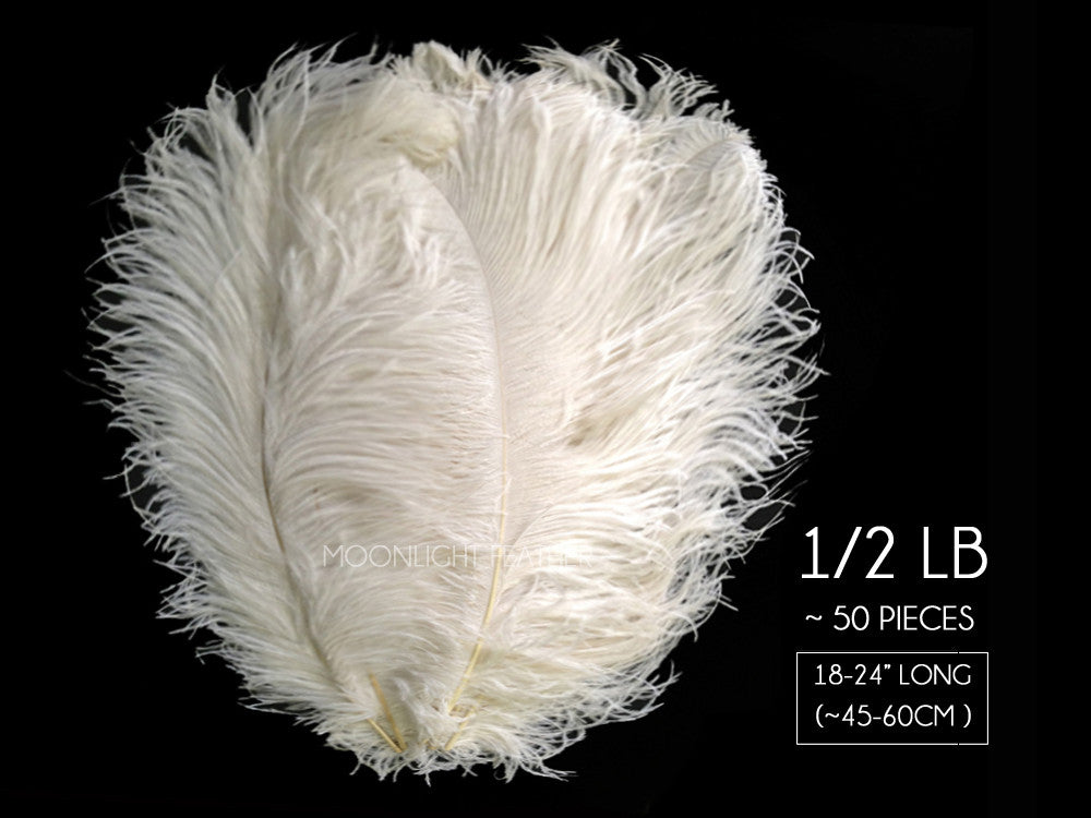 1/2 Lb. - 18-24" Off White Large Ostrich Wing Plume Wholesale Feathers (Bulk)