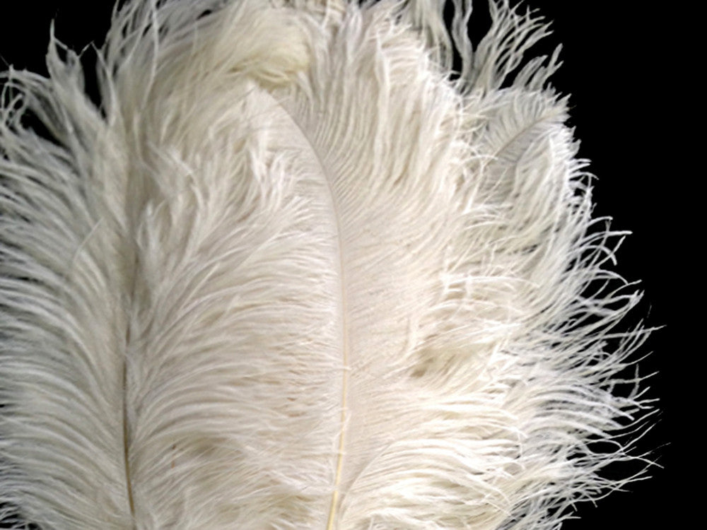 1/2 Lb. - 18-24" Off White Large Ostrich Wing Plume Wholesale Feathers (Bulk)