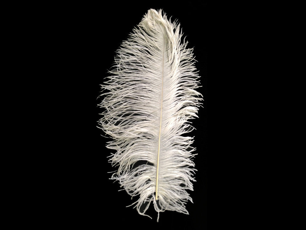 1/2 Lb. - 18-24" Off White Large Ostrich Wing Plume Wholesale Feathers (Bulk)