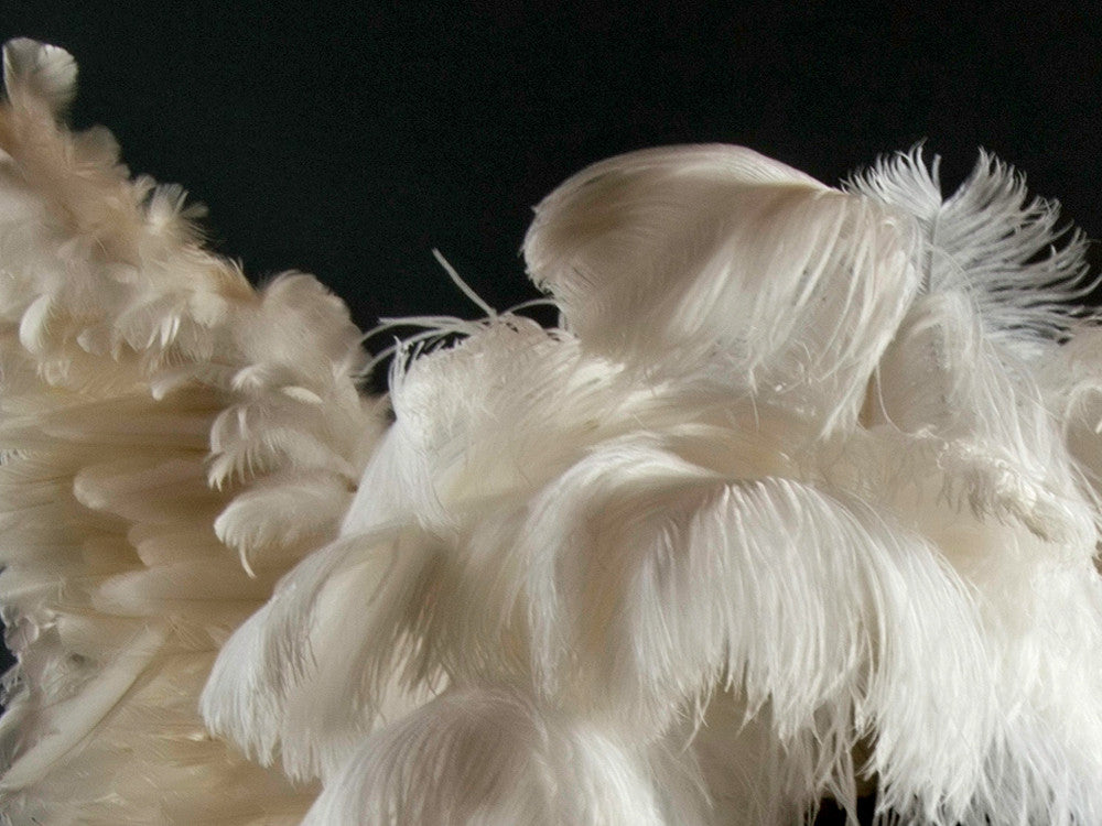 20 Pieces - 18-24" Off White Large Prime Grade Ostrich Wing Plume Centerpiece Feathers