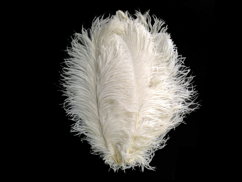 20 Pieces - 18-24" Off White Large Prime Grade Ostrich Wing Plume Centerpiece Feathers