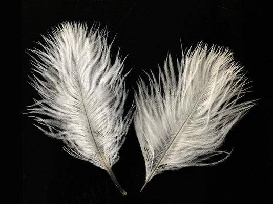 1 Pack - Off White Ostrich Small Confetti Feathers 0.3 Oz