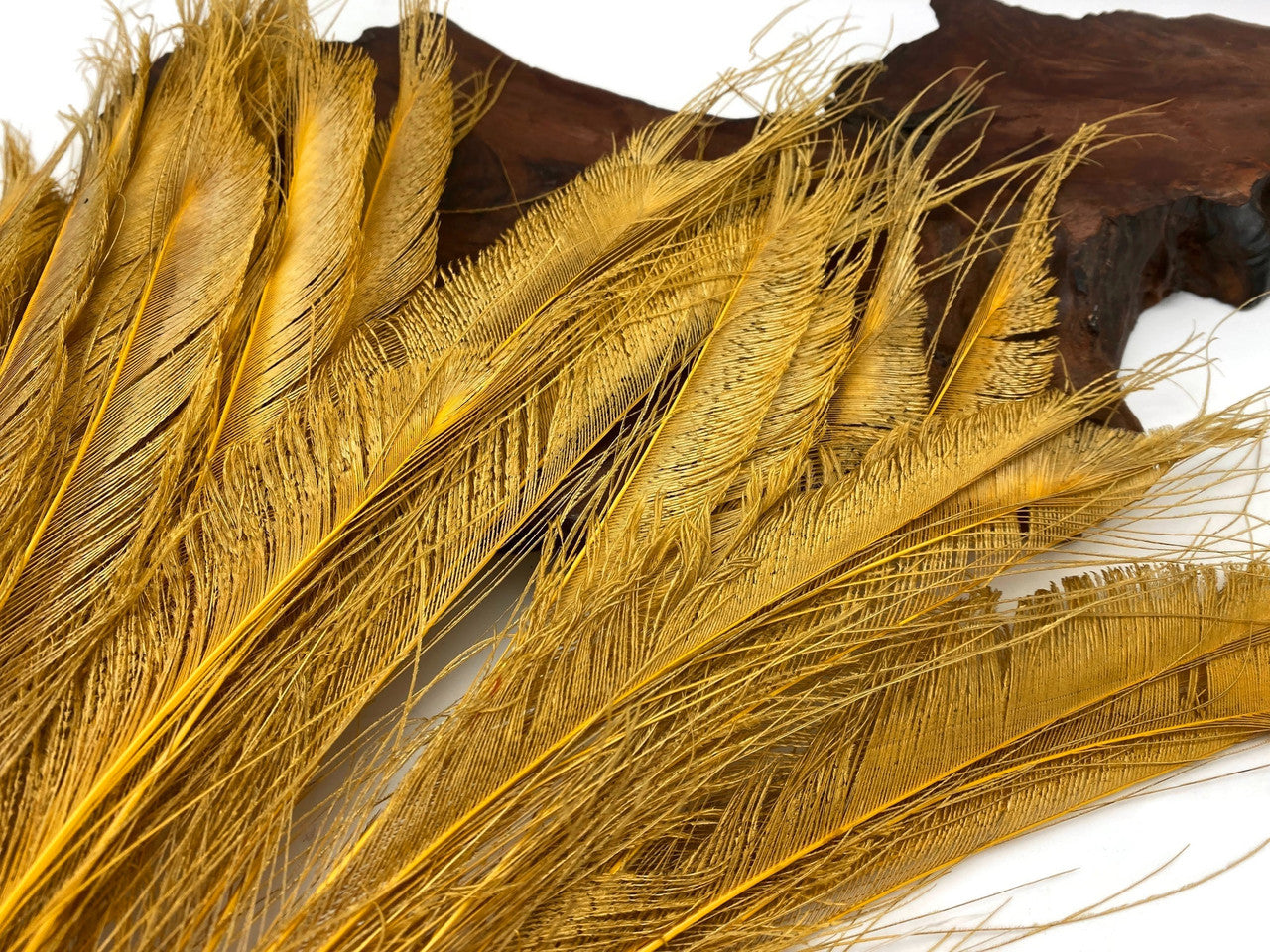 50 Pieces - Antique Gold Bleached & Dyed Peacock Swords Cut Wholesale Feathers (Bulk)