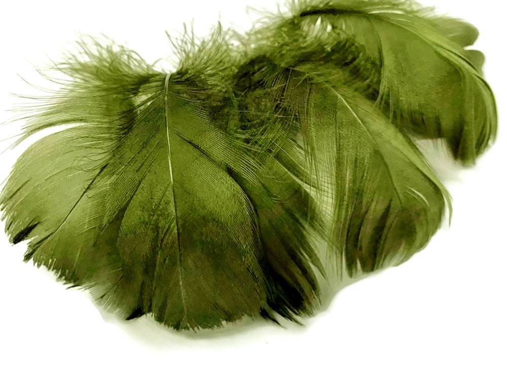 1 Pack - 2-3" Olive Green Goose Coquille Loose Feathers - 0.35 Oz.