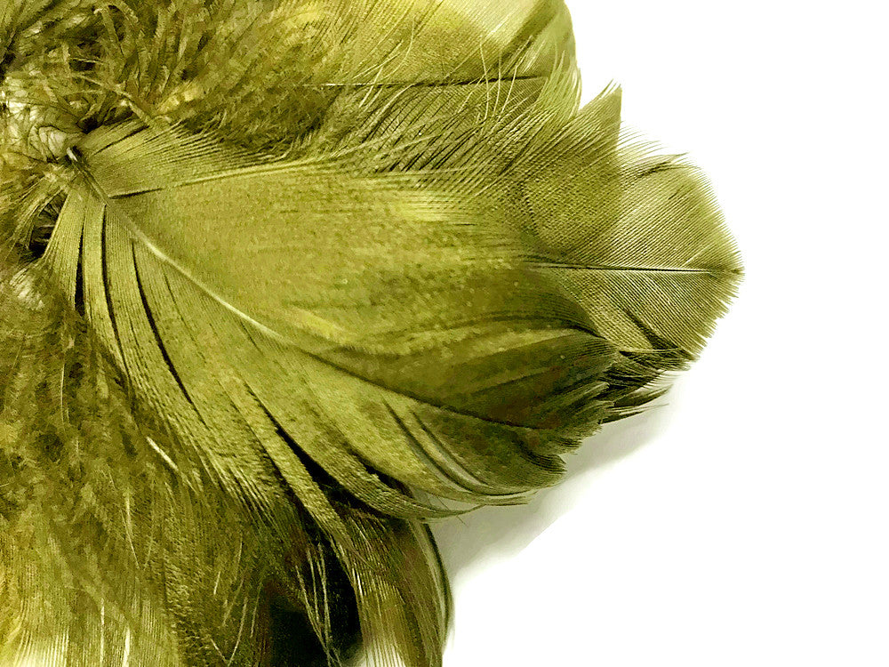 1 Pack - 2-3" Olive Green Goose Coquille Loose Feathers - 0.35 Oz.