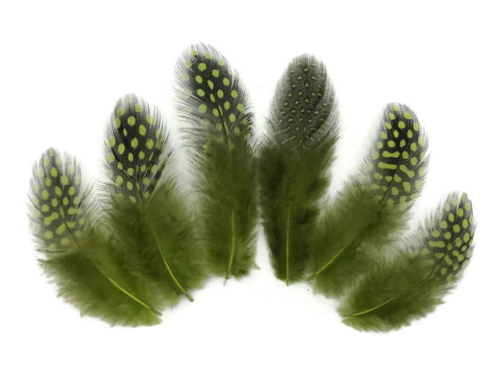 1 Pack - Olive Green Guinea Hen Polka Dot Plumage Feathers 0.10 Oz.