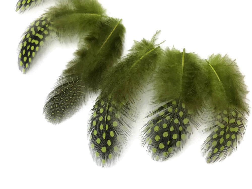 1/4 Lb - Olive Green Guinea Hen Plumage Polka Dot Feathers Wholesale (Bulk)