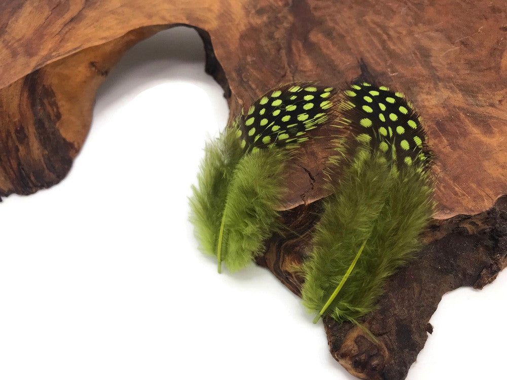 1 Pack - Olive Green Guinea Hen Polka Dot Plumage Feathers 0.10 Oz.