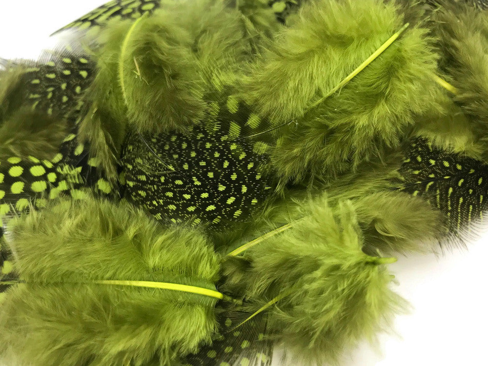 1 Pack - Olive Green Guinea Hen Polka Dot Plumage Feathers 0.10 Oz.