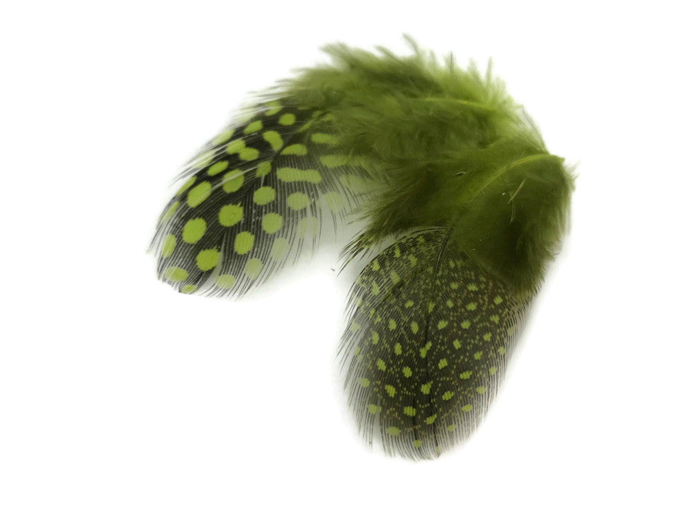 1 Pack - Olive Green Guinea Hen Polka Dot Plumage Feathers 0.10 Oz.