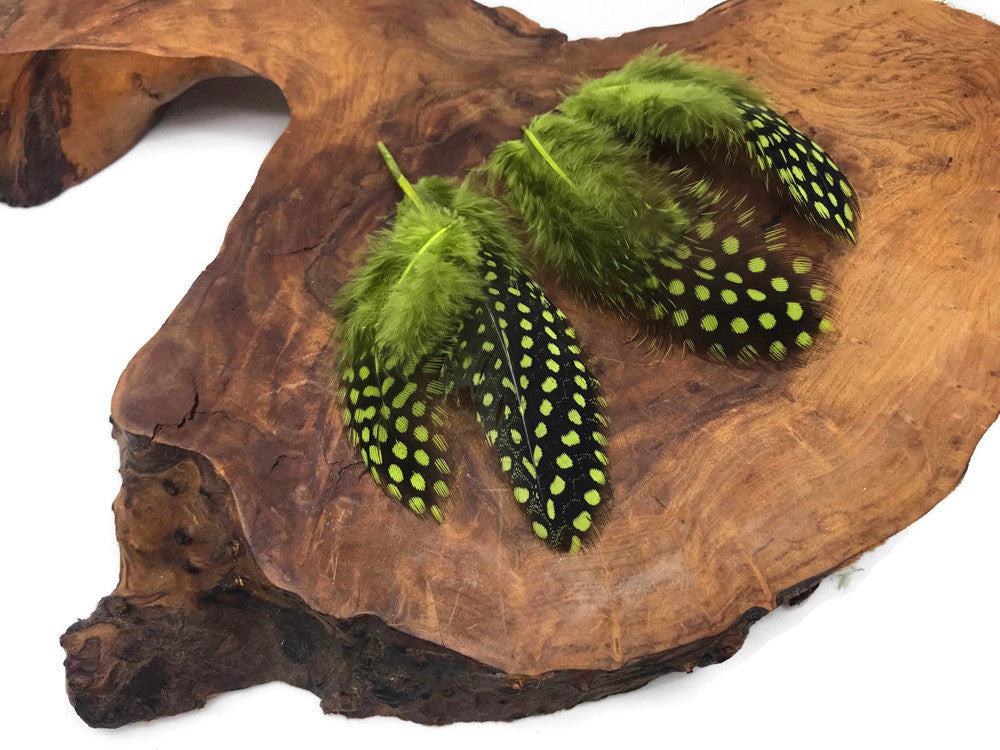 1 Pack - Olive Green Guinea Hen Polka Dot Plumage Feathers 0.10 Oz.