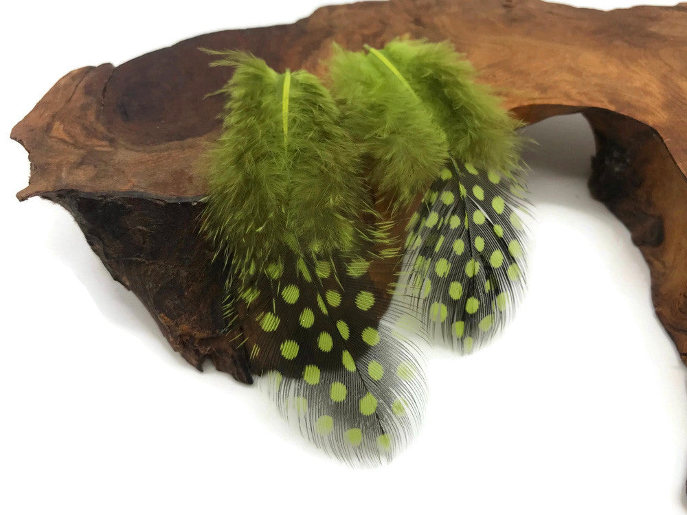 1/4 Lb - Olive Green Guinea Hen Plumage Polka Dot Feathers Wholesale (Bulk)