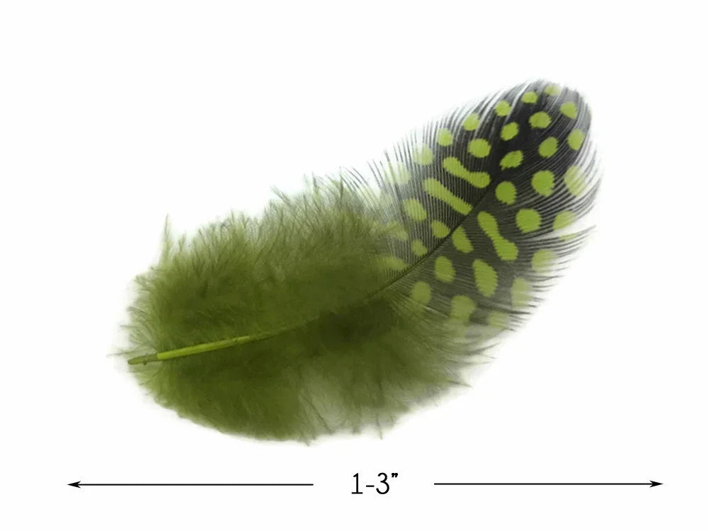 Green and black spotted craft feather, 1-3 inches for DIY fashion and decor.