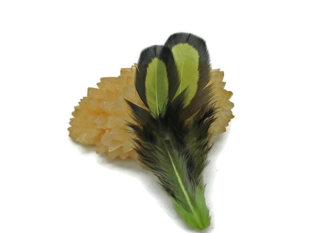 1 Dozen - Olive Green Whiting Farms Laced Hen Saddle Feathers