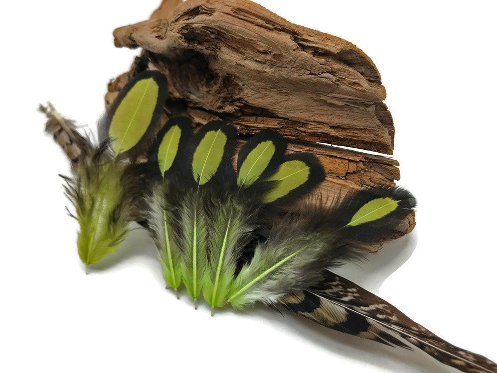 1 Dozen - Olive Green Whiting Farms Laced Hen Saddle Feathers