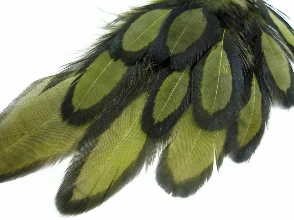 1 Dozen - Olive Green Whiting Farms Laced Hen Saddle Feathers