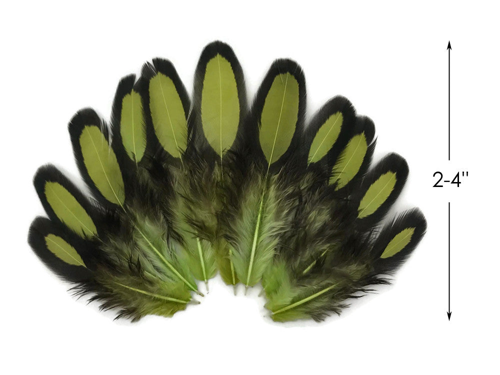 1 Dozen - Olive Green Whiting Farms Laced Hen Saddle Feathers