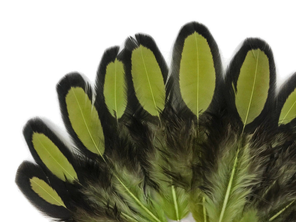 1 Dozen - Olive Green Whiting Farms Laced Hen Saddle Feathers