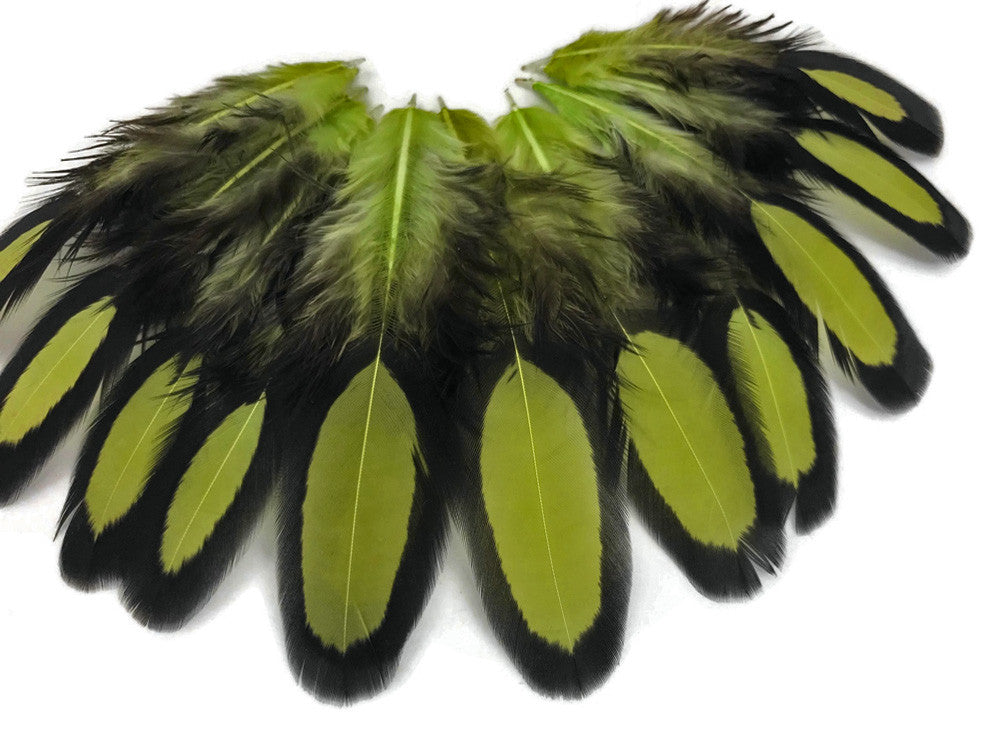 1 Dozen - Olive Green Whiting Farms Laced Hen Saddle Feathers