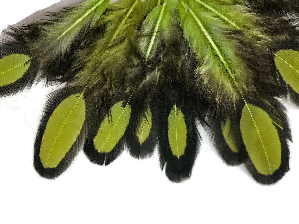 1 Dozen - Olive Green Whiting Farms Laced Hen Saddle Feathers