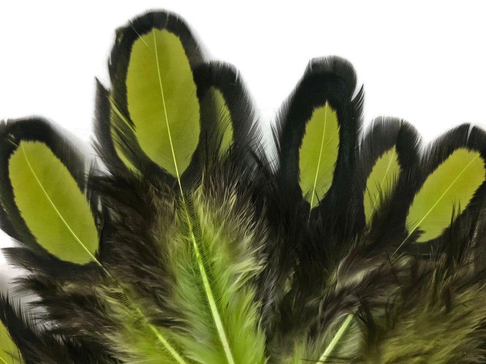 1 Dozen - Olive Green Whiting Farms Laced Hen Saddle Feathers