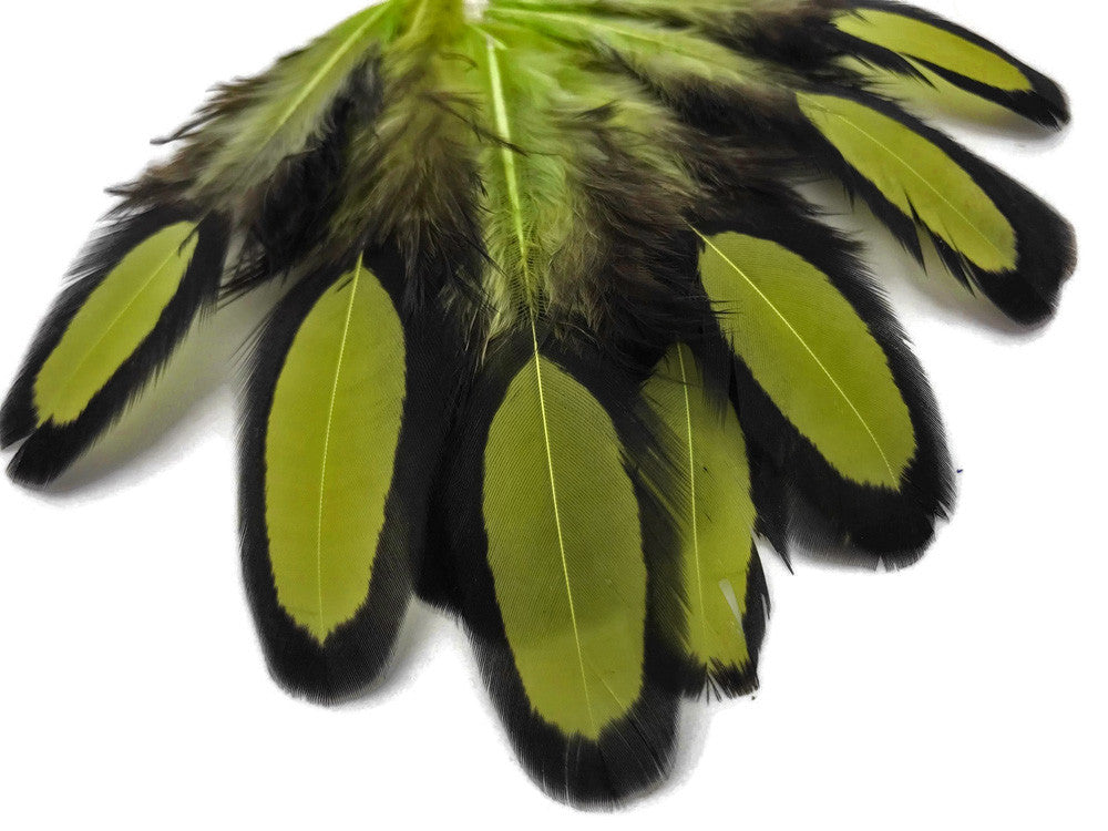 1 Dozen - Olive Green Whiting Farms Laced Hen Saddle Feathers
