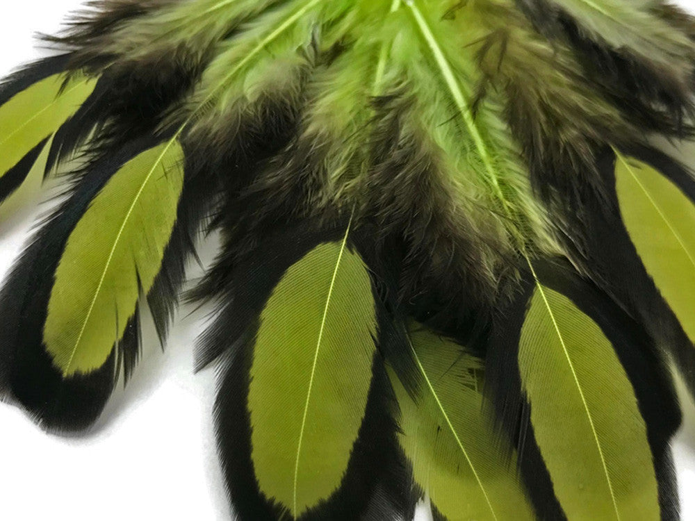 1 Dozen - Olive Green Whiting Farms Laced Hen Saddle Feathers