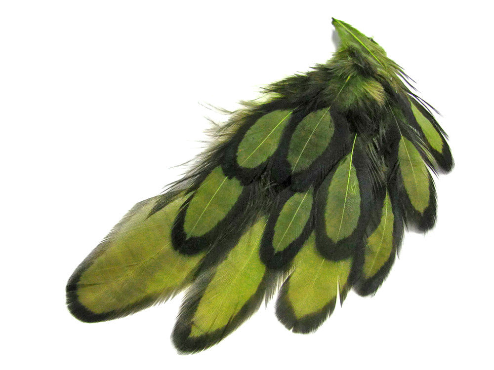 1 Dozen - Olive Green Whiting Farms Laced Hen Saddle Feathers