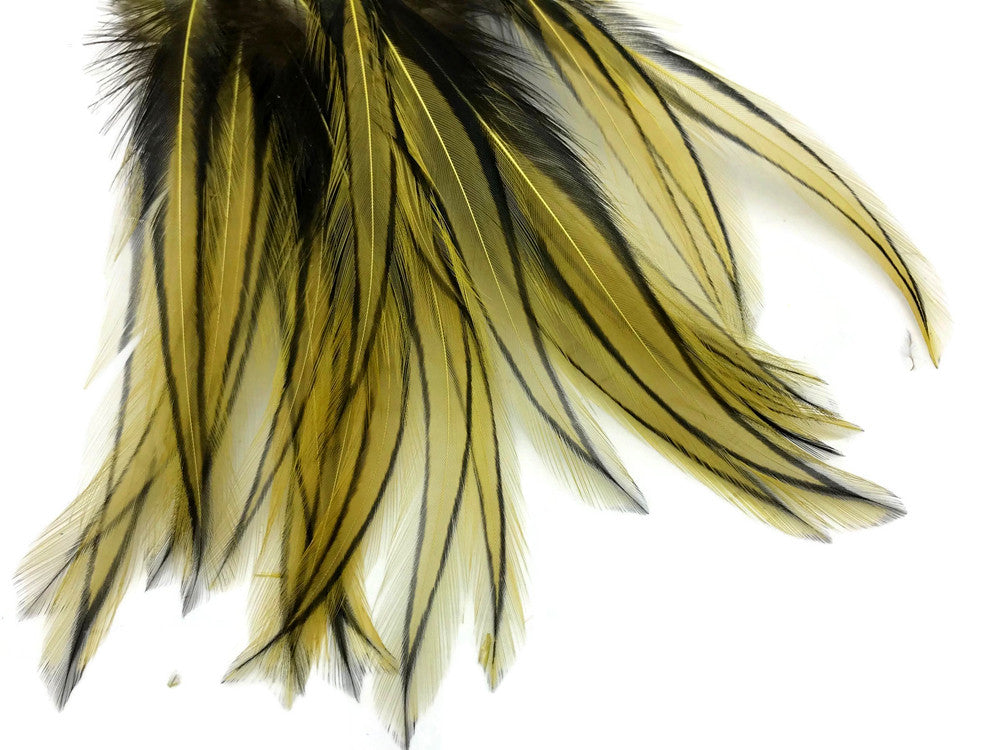 10 Pieces - Golden Olive Dyed BLW Laced Long Rooster Cape Whiting Farms Feathers