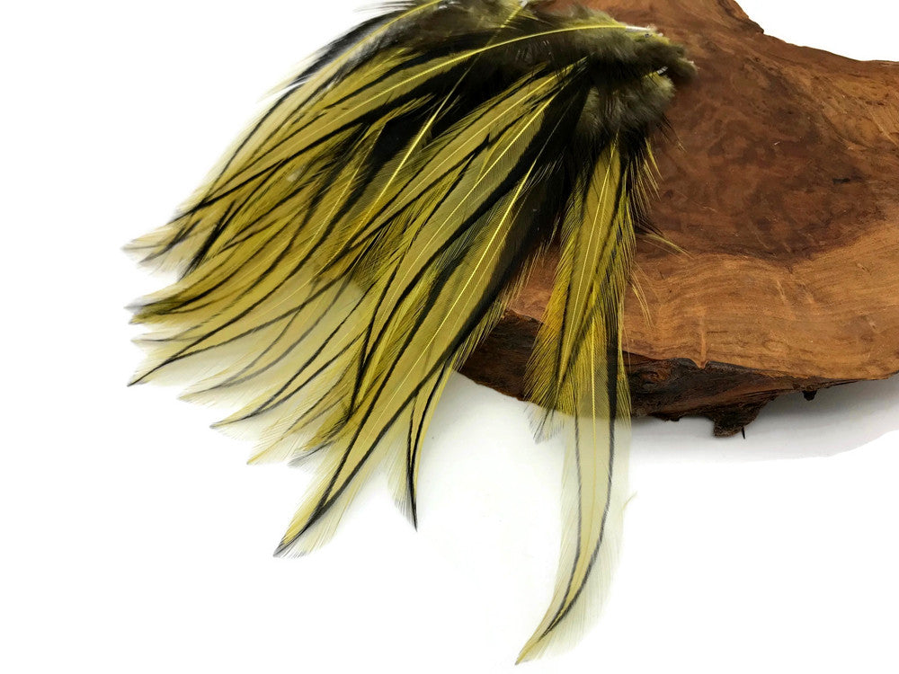 10 Pieces - Golden Olive Dyed BLW Laced Long Rooster Cape Whiting Farms Feathers