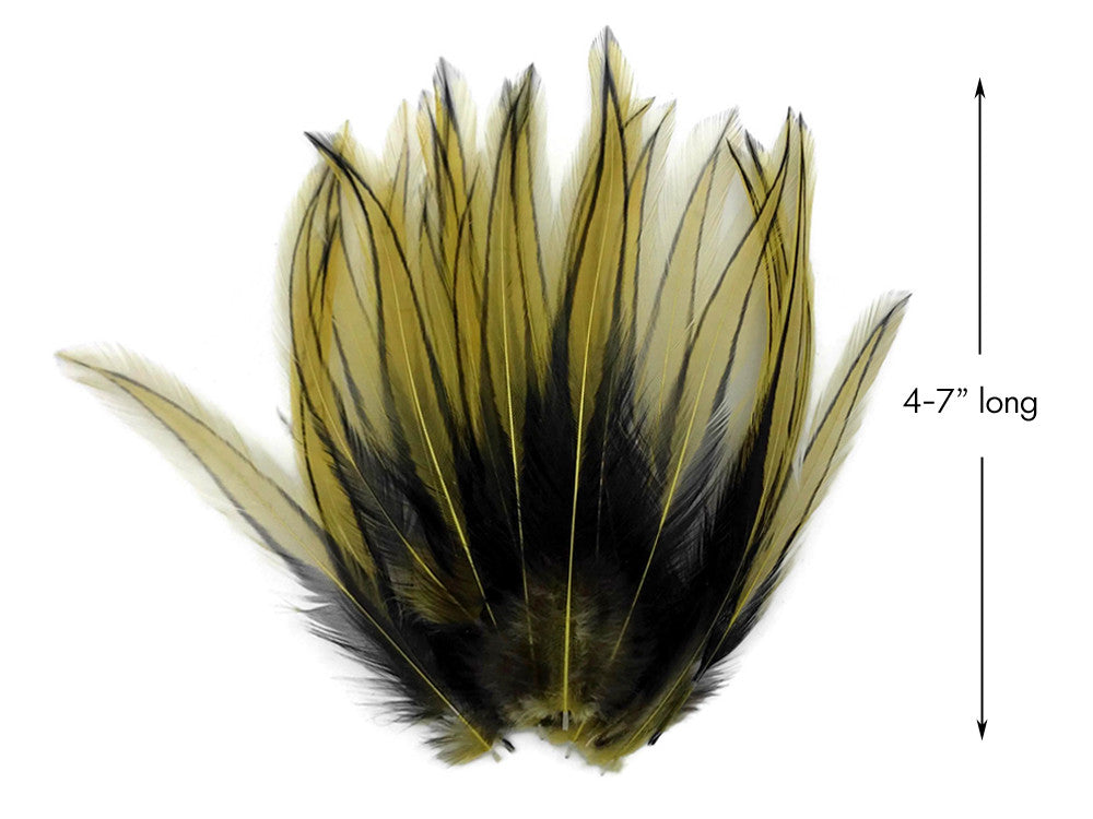 10 Pieces - Golden Olive Dyed BLW Laced Long Rooster Cape Whiting Farms Feathers