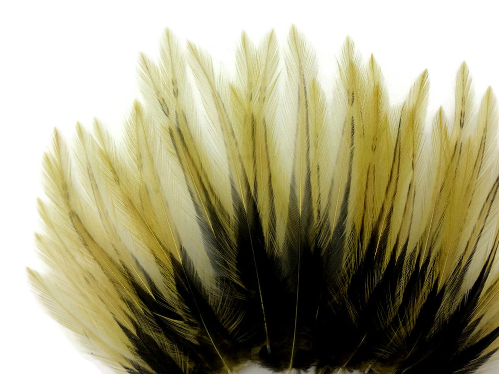 10 Pieces - Golden Olive Dyed BLW Laced Short Rooster Cape Whiting Farms Feathers