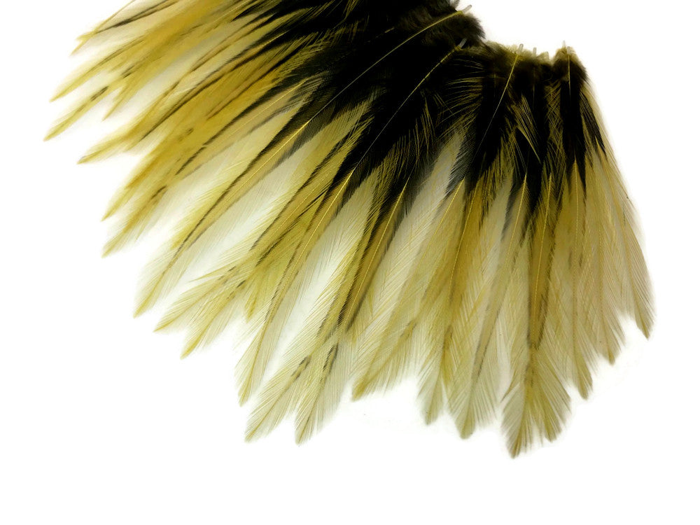 10 Pieces - Golden Olive Dyed BLW Laced Short Rooster Cape Whiting Farms Feathers