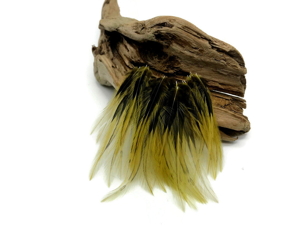 10 Pieces - Golden Olive Dyed BLW Laced Short Rooster Cape Whiting Farms Feathers