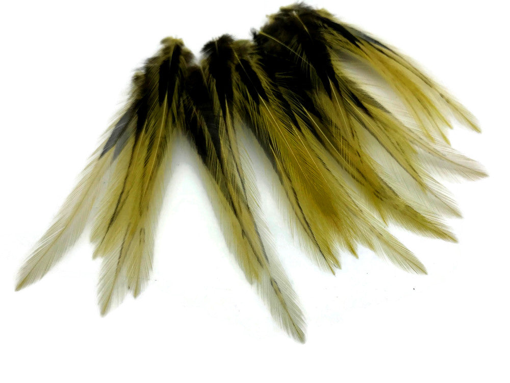 10 Pieces - Golden Olive Dyed BLW Laced Short Rooster Cape Whiting Farms Feathers