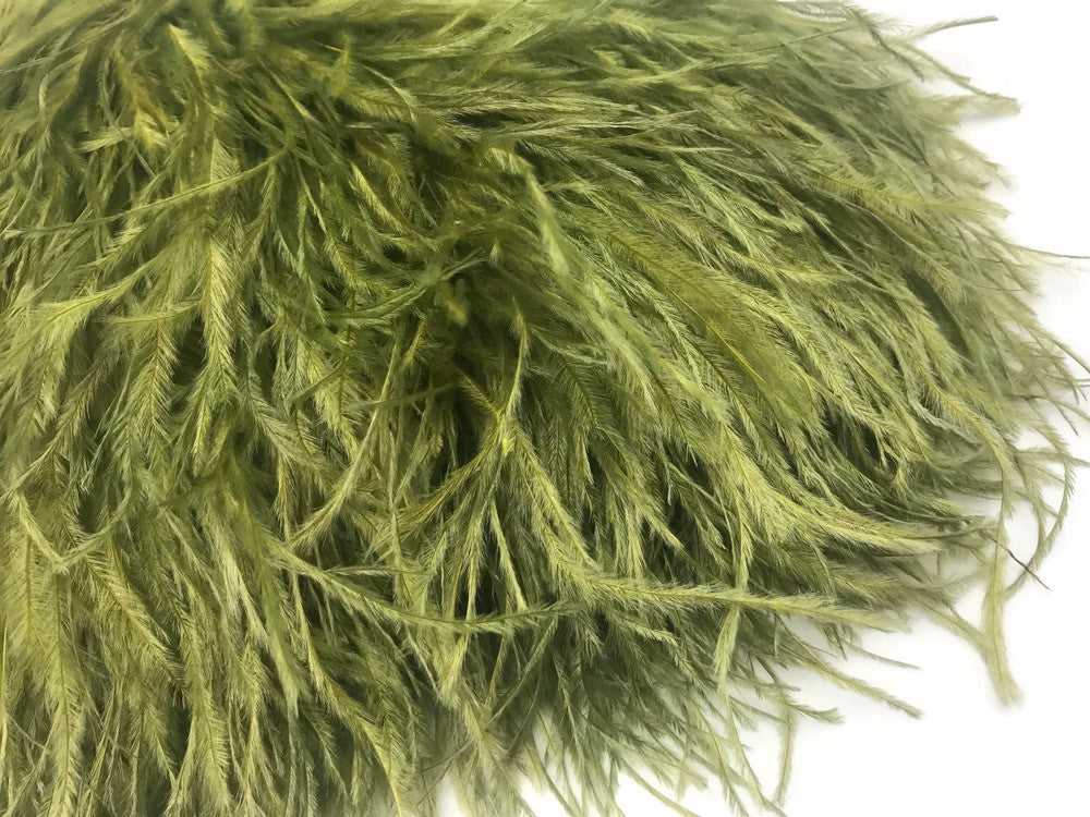 6 Inch Strip - Olive Green Ostrich Fringe Trim Feather