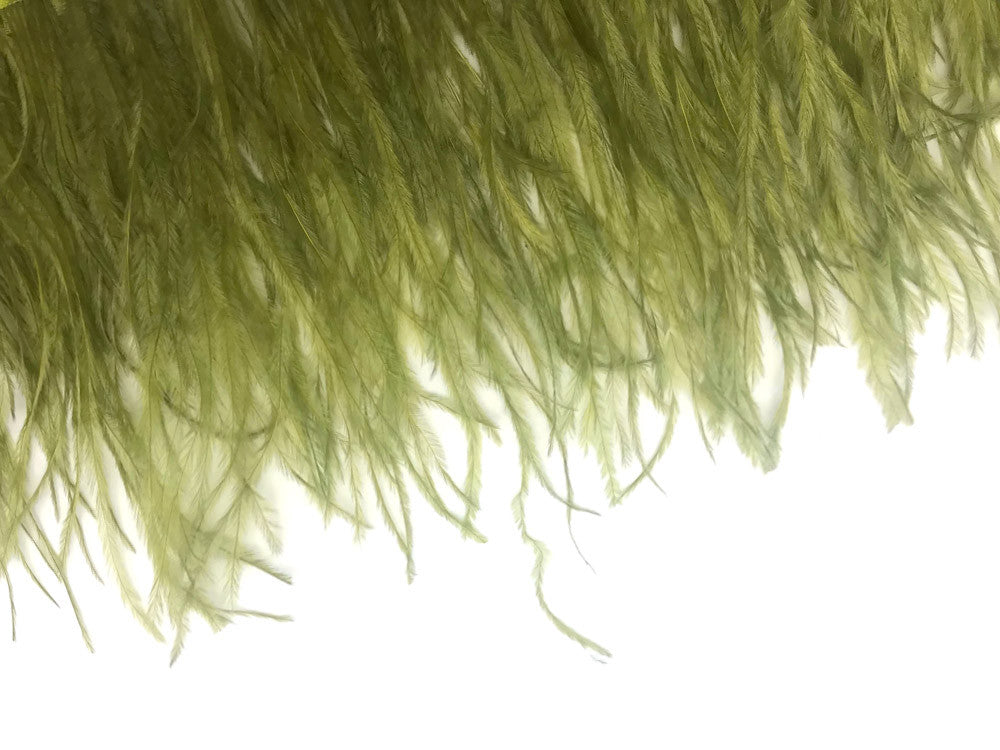 6 Inch Strip - Olive Green Ostrich Fringe Trim Feather