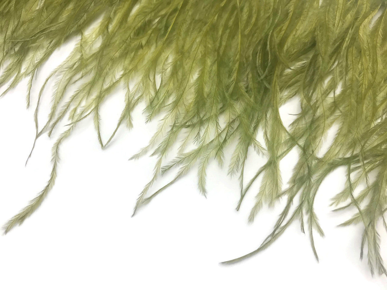 1 Yard - Olive Green Ostrich Fringe Trim Wholesale Feather (Bulk)
