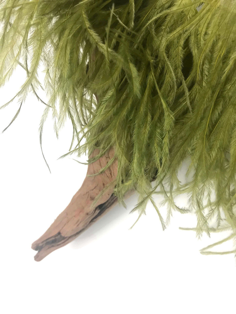 1 Yard - Olive Green Ostrich Fringe Trim Wholesale Feather (Bulk)