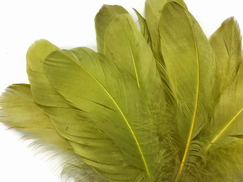 1/4 Lb - Olive Green Goose Nagoire Wholesale Feathers (Bulk)